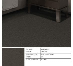 Hospitality Carpet:CM55219